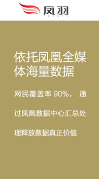 凤凰新闻网二类电商货到付款怎么投放广告,怎